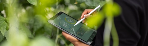 eine Person aktualisiert Daten auf einem Tablet vor einem Hintergrund aus Pflanzen